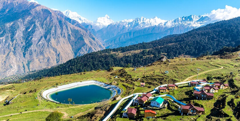 Auli